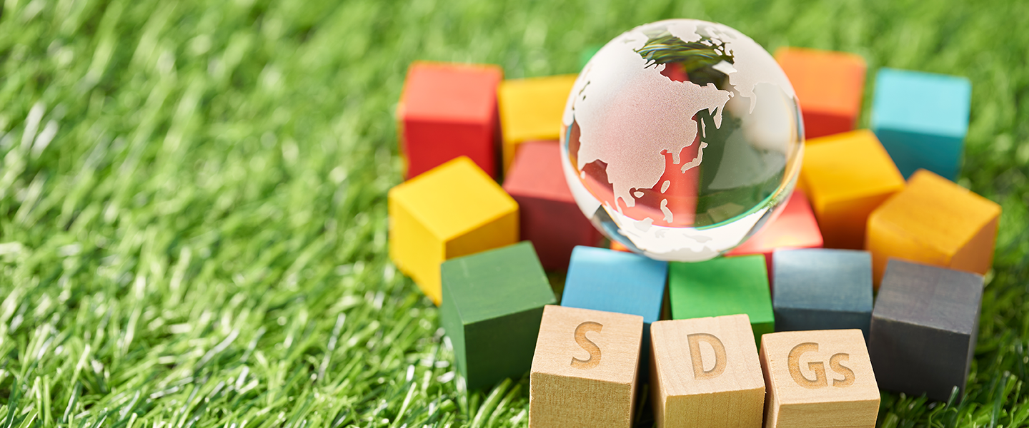 持続可能な社会のためのSDGs（仮題）
