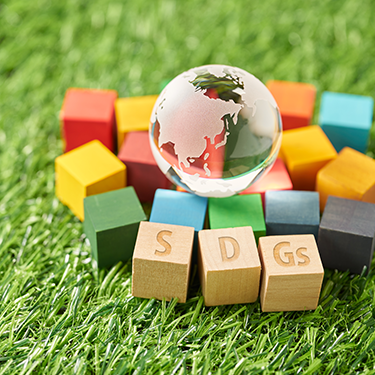 持続可能な社会のためのSDGs（仮題）