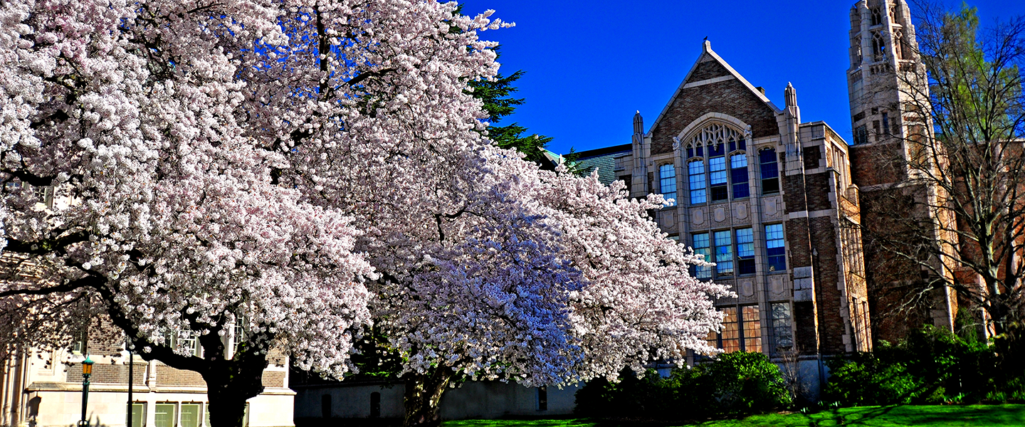 時代がもとめる人材育成へ<br>『新増設大学・学部・学科・大学院特集』<br>（仮題）