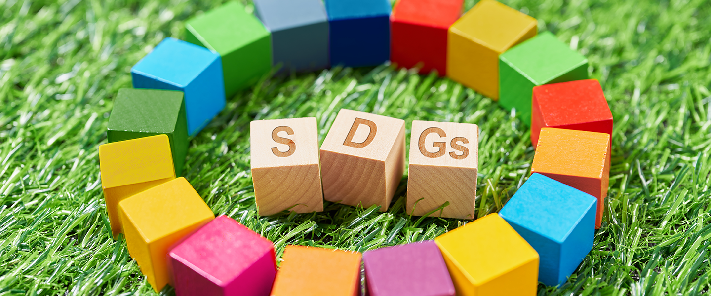 持続可能な社会のためのSDGs（仮題）