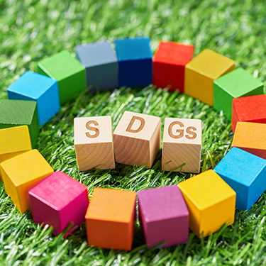 持続可能な社会のためのSDGs（仮題）